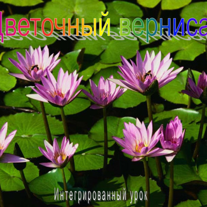 Интегрированный урок по русскому языку — «Цветочный вернисаж»